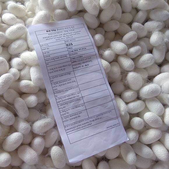 Each batch of cocoons headed for silk production is labeled with its quality and place of origin silk cocoons