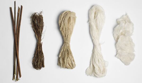 The tough stalks of the ramie plant yield surprisingly soft yarn rámie zpracování vlákna výroba