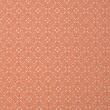 Noble brocade, silver and brick red