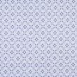 Noble brocade, white and blue